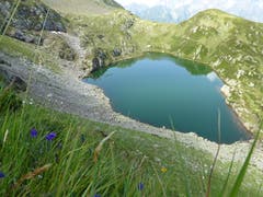 Der Bristensee ist auch in dieser heissen Sommerzeit nur für hartnäckige Badegäste ein Genuss, im Moment ca. 14° Grad kalt. (Bild: Gustav Tresch-Tresch)
