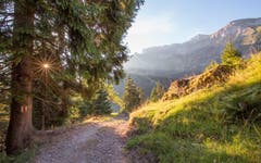 Wildes Eigenthal. Erfrischende Wanderung bei Sonnenaufgang. (Bild: Priska Ziswiler-Heller)