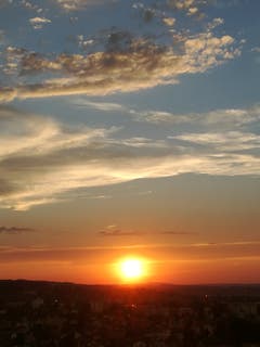 Abendstimmung im Stadtwald Rorschach. (Bild: Rahel Nett)