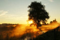 Mystisch und atemberaubend schön... (Bild: Irene Wanner (Wauwilermoos, 12. August 2018)