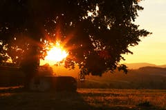 Sonnenuntergang. (Bild: Irene Wanner (Fischbach, 12. August 2018 ))