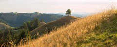 Blick übers Emmental. (Bild: Priska Ziswiler-Heller (Ahornalp, 5. August 2018))