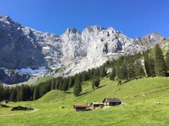 Die Brunnialp ist im Sommer ein von Wanderern und Bikern oft aufgesuchter Ort der Ruhe und Erholung. Von Unterschächen her führt der Weg durch das mit reicher Fauna und prächtiger Flora ausgestattete romantische Brunnital zum Ziel am Fusse der imposanten Ruchen-Nordwand. (Bild: Bruno Küttel, Unterschächen, 30. Juni 2018)