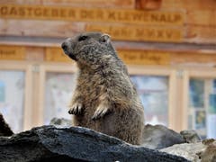 «Bei so vielen interessierten Zuschauern lohnt es sich auf jeden Fall zu zeigen, zu was man bereits schon in jungen Jahren fähig ist.» (Bild: Margrith Imhof-Röthlin (Klewenalp, 15. August 2018))