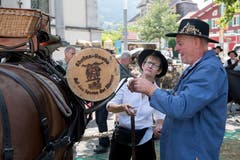 Mit insgesamt 40 Kilo Sbrinz-Käse wandern die Säumer und ihre Tiere ab Sonntag über die Alpen. (Bild: Boris Bürgisser, Sachseln, 18. August 2018)