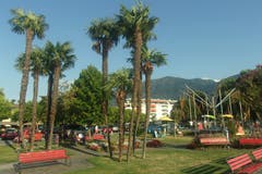 Palmen wie in tropischen Gebieten an der Seepromenade in Ascona. (Bild: Josef Müller (Ascona, 16. August 2018))