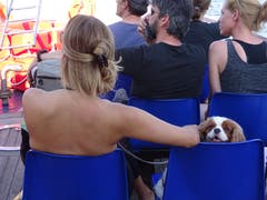 Schifffahrt auf dem Lago Maggiore. (Bild: Josef Müller (Ascona, 16. August 2018))