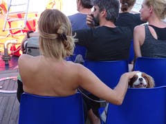 Braves liebes Hundeli. (Bild: Josef Müller (Lago Maggiore, 16. August 2018))