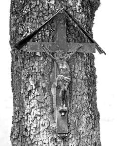 Wegkreuz an einem Baum im Buochser Bauernland lädt zum Innehalten ein. (Bild: Bruno Schuler (Buochs, 2. August 2018))