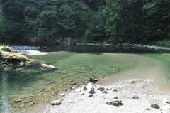Wenige Meter unterhalb der Brandholzbrücke bei Ebnat-Kappel sammelt sich das Thurwasser in einem Becken. (Bild: Sabine Schmid)