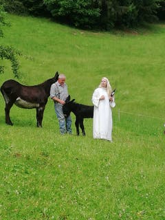 Eseltaufe in der Schürmatt. (Bild: Madeleine Ackermann (Alpnach, 2. August 2018))
