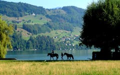 Sommerbild am «Grünen Quai» in Buochs – und das am ersten Tag des neuen Schuljahres... (Bild: Sepp Bernasconi (20. August 2018))