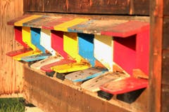 Emsiges Treiben beim Bienenhaus (Bild: Irene Wanner)