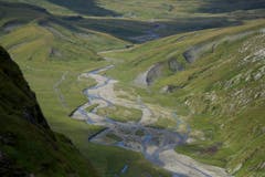Blick in die unberührte Flusslandschaft in der Greinaebene (Bild: Hans Aeschlimann)