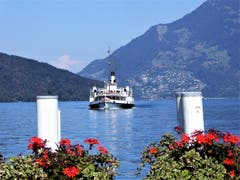 DS «Stadt Luzern» legt in Beckenried an. (Bild: Hans Steiner (22. August 2018))