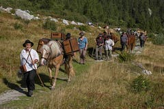 Säumer-Wanderwoche Sprinz-Route. (Bild: Franz Krummenacher (Grimsel, 22. August 2018))