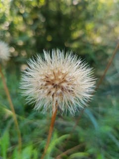 Es wird wieder Herbst! (Bild: Reto Schlegel)