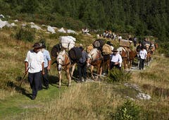 Säumer-Wanderwoche Sprinz-Route: Eintreffen auf dem Grimselpass. (Bild: Franz Krummenacher (Grimsel, 22. August 2018))