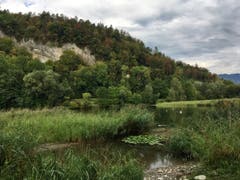 Das Wichensteiner Seeli im Oberriet. (Bild: Toni Sieber)