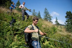Jeremias «Mi» Achermann hilft auf der Alp aus, wenn Not am Mann ist. Normalerweise kümmert er sich um den Talbetrieb. Bild: Corinne Glanzmann (Flühli, 08. August 2018)
