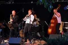 Am Freitag traten dann unter anderem «T. Rolf& the Groovin Cats» auf. (Bild: Werner Schelbert (Zug, 24. August 2018))