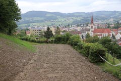 Erst kürzlich renaturiert: Vom obersten Teilstück des alten Eisenbahntrassees hat man einen schönen Ausblick auf die Kirche und das Quartier St.Otmar. (Bild: Reto Voneschen)