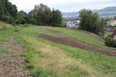 26. August 2018: Fahrleitungen, Schienen, Schwellen und Schotterbett der Ruckhaldekurve sind verschwunden. Das ehemalige Eisenbahntrassee wird von der Natur zurückerobert. (Bild: Reto Voneschen)