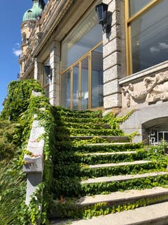 Das Hotel Palace in Luzern ist geschlossen – die Efeuranken breiten sich aus. (Bild: Marianne Schmidt, 26. August 2018)