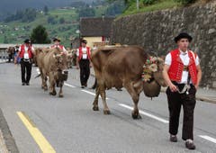 Blumengeschmückt und mit wohlklingenden Treicheln behangen erreichten die Kühe von der Alp Tesel am Samstag den Werkhof Hültsch in Gams, wo sie von ihren Besitzern in Empfang genommen wurden.