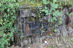 Das durch ein Drahtgeflecht geschützte Mäuerchen am Rand des Eisenbahntrassees wird auch bereits überwuchert. (Bild: Reto Voneschen)