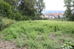Das kleine Mäuerchen links erinnert noch an die Rekordkurve. Es wird wohl in Zusammenhang mit der längerfristig geplanten Überbauung der Ruckhalde ebenfalls verschwinden. (Bild: Reto Voneschen)