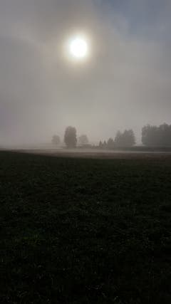 Erstes Herbstwochenende in Zezikon. (Bild: Stephan Lendi)