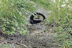 An den meisten Stellen ist der Giessen komplett ausgetrocknet.