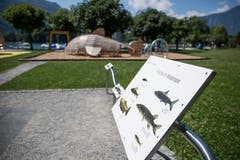 Die nationale Fischbrutanlage befindet sich in Weesen, weshalb am dortigen Spielplatz eine Tafel über die verschiedenen Fischarten informiert.(Bild: Mareycke Frehner)