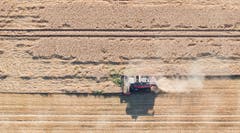 Mähen in der Hitze: Ein Mähdrescher fährt über ein Getreidefeld im deutschen Niedersachsen. (Bild: Keystone)