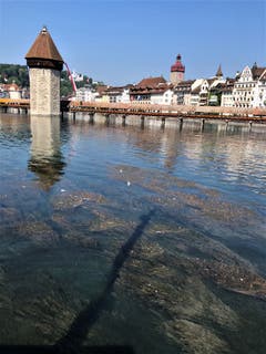 Durch das fehlende Wasser im Vierwaldstättersee kommt so Einiges an Tageslicht! (Bild: Margrith Imhof-Röthlin)