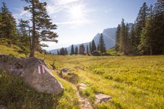 Morgenstund hat Gold im Mund (Bild: Priska Ziswiler-Heller (Eigenthal, 30. Juli 2018))