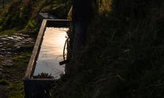 Wasser ist Mangelware auf der Alp und so kostbar wie "flüssiges Gold". (Bild: Stefan Kunz)