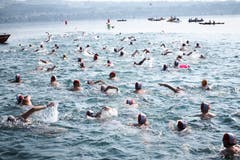 648 Schwimmerinnen und Schwimmer nehmen schliesslich teil - so viele wie noch nie.