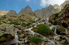 Auf der Sewenalp. (Bild: Marianne Schmid)