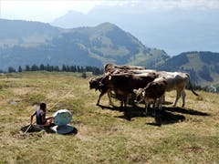 Traurig aber wahr, langsam aber sicher herrscht auch hier auf der Rigi eine akute Wassernot. (Bild: Margrih Imhof-Röthlin (Rigi-Kulm, 6. August 2018))