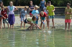 Jährliches Schiffsrennen auf dem Greifensee der Pro Natura Jugendgruppe Luzern. (Bild: Basil Blum)