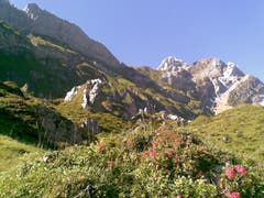 Alpkreuz im Aufstieg zum Rotsteinpass. (Bild: Klaus Businger)