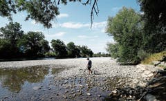 Die Reuss bei der Zollbrücke zwischen Hünenberg und Sins führt deutlich weniger Wasser. (Bild: Stefan Kaiser (31. Juli 2018))