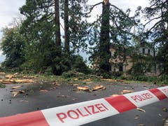 Eine Frau wurde von Holzsplitter getroffen und verletzt (Bild: Roman Hodel)