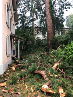 Der Blitz schlug in einen Baum beim Schulhaus Felsberg und verursachte grossen Schaden. (Bild: Feuerwehr Stadt Luzern)