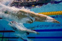 Jeremy Desplanches (vorne) im Becken (Bild: EPA/PATRICK B. KRAEMER)