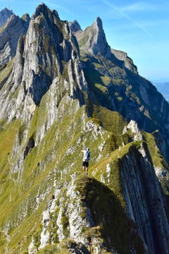 Alles riskieren für ein perfektes Bild? (Bild: Claudia Melotti-Knöpfel)