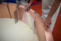 Milch wird in den Käsekessel gefüllt. (Bild: KEYSTONE/Gian Ehrenzeller (12.09.2018))