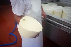 Ein frisch gepresster Laib Käse. (Bild: KEYSTONE/Gian Ehrenzeller (12.09.2018))